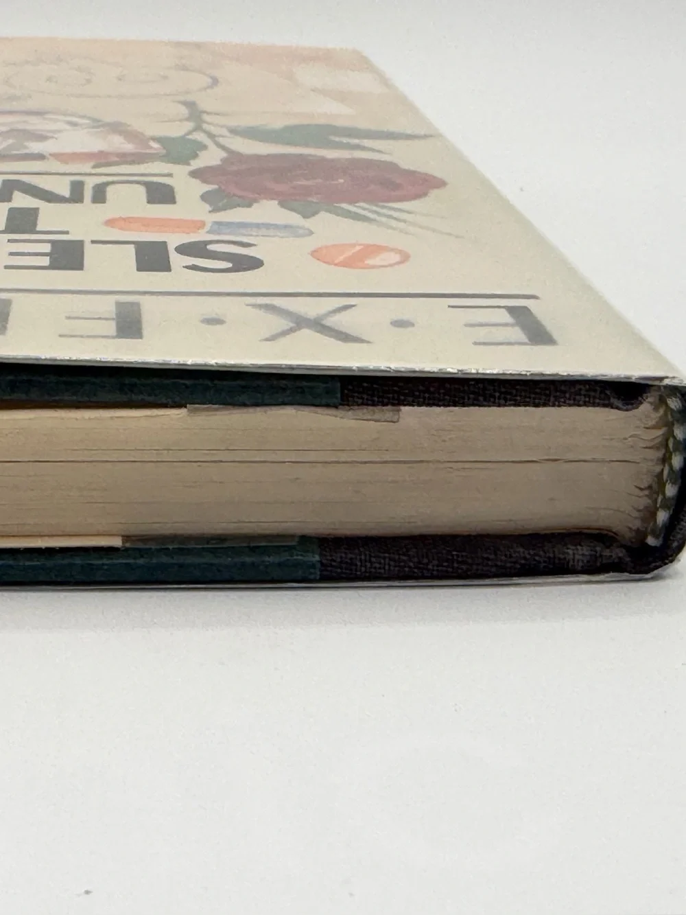 Sleep Of The Unjust by E. X. Ferrars Hardcover Book 1991 First Edition